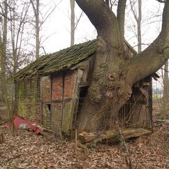 Lippetal Dörrobstofen