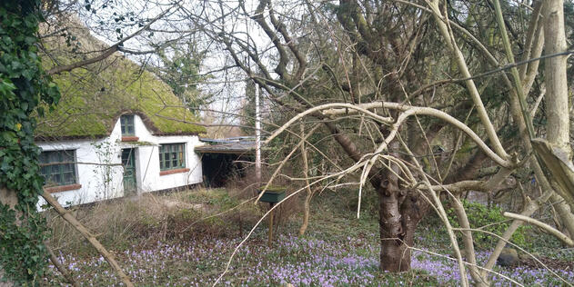 Althagen, Kleinhempel-Haus © Moritz Langhinrichs, Interessengemeinschaft Bauernhaus e. V.
