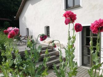 Ebnerhof Pönning © Interessengemeinschaft Bauernhaus, Reinhard Scheid