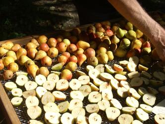 Obst für den Dörrofen © Interessengemeinschaft Bauernhaus, Ulla Grünewald