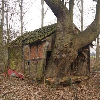 Lippetal, Dörrobstofen, vorher © Interessengemeinschaft Bauernhaus, Ulla Grünewald