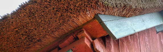 Reet © Interessengemeinschaft Bauernhaus, Bernd Kunze