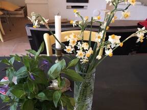 Frankreich - 11440 Peyriac de Mer - Maison le Jardinet - Ferienhaus