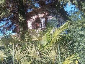 Italien - 21038 Leggiuno - Villa Luigia - Ferienhaus