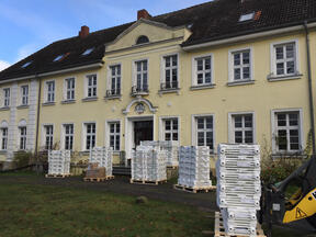 Hohenkirchen OT Manderow - Ferienwohnung - URlaub im Gutshaus - Wohlfühlen wie bei Freunden
