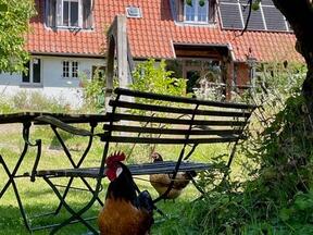 Karft - Ferienwohnung - Ferienhof im Biosphärenreservat Schaalsee