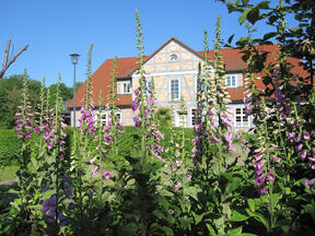 Marlow- Ferienwohnung - Gutshof Alt-Guthendorf