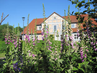 Mecklenburg Vorpommern Markow Gutshof Alt-Guthendorf