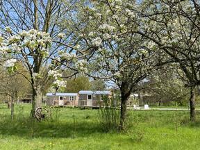 Ferienwohnung Auszeit Bauwagencamp Steinhuder Meer - Wiedenbrügge Schmalenbruch