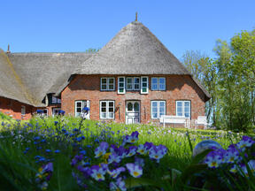 Ferienwohnung Haubarg Blumenhof - Eidersted