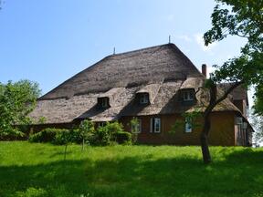 Ferienwohnung Haubarg Blumenhof - Eidersted