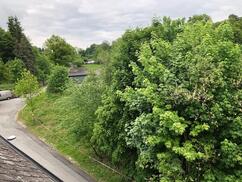 59939 Olsberg-Antfeld