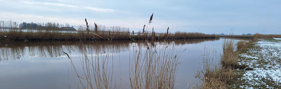 Polder und Siele bilden die ostfriesische Landschaft. Und egal wo man steht, meistens fängt der Blick ein Gulfhaus ein © Julia Ricker, Interessengemeinschaft Bauernhaus