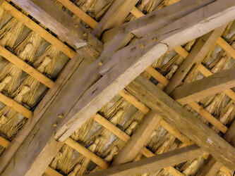 Organisations-Struktur