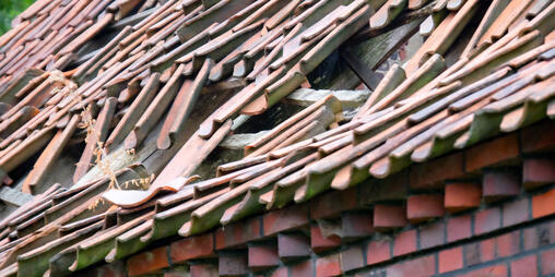 Münsterland, historische Dachziegel © Interessengemeinschaft Bauernhaus e. V. Bernd Kunze