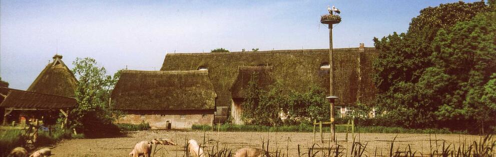 Vierlande, Hof Eggerns in der Ohe, © Interessengemeinschaft Bauernhaus, Bildarchiv Hof Eggers