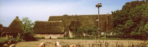 Vierlande, Hof Eggerns in der Ohe, © Interessengemeinschaft Bauernhaus, Bildarchiv Hof Eggers