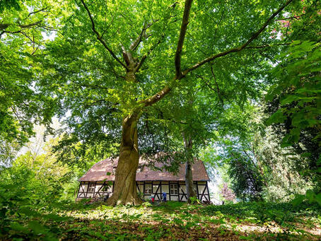© Interessengemeinschaft Bauernhaus, Dörte Steenken-Krüger