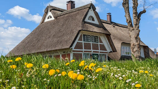 Haus Anna Elbe, Hamburg © Interessengemeinschaft Bauernhaus, Tatiana Timmann