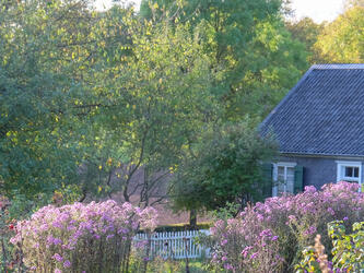 Geschäftsführung & Geschäftsstelle